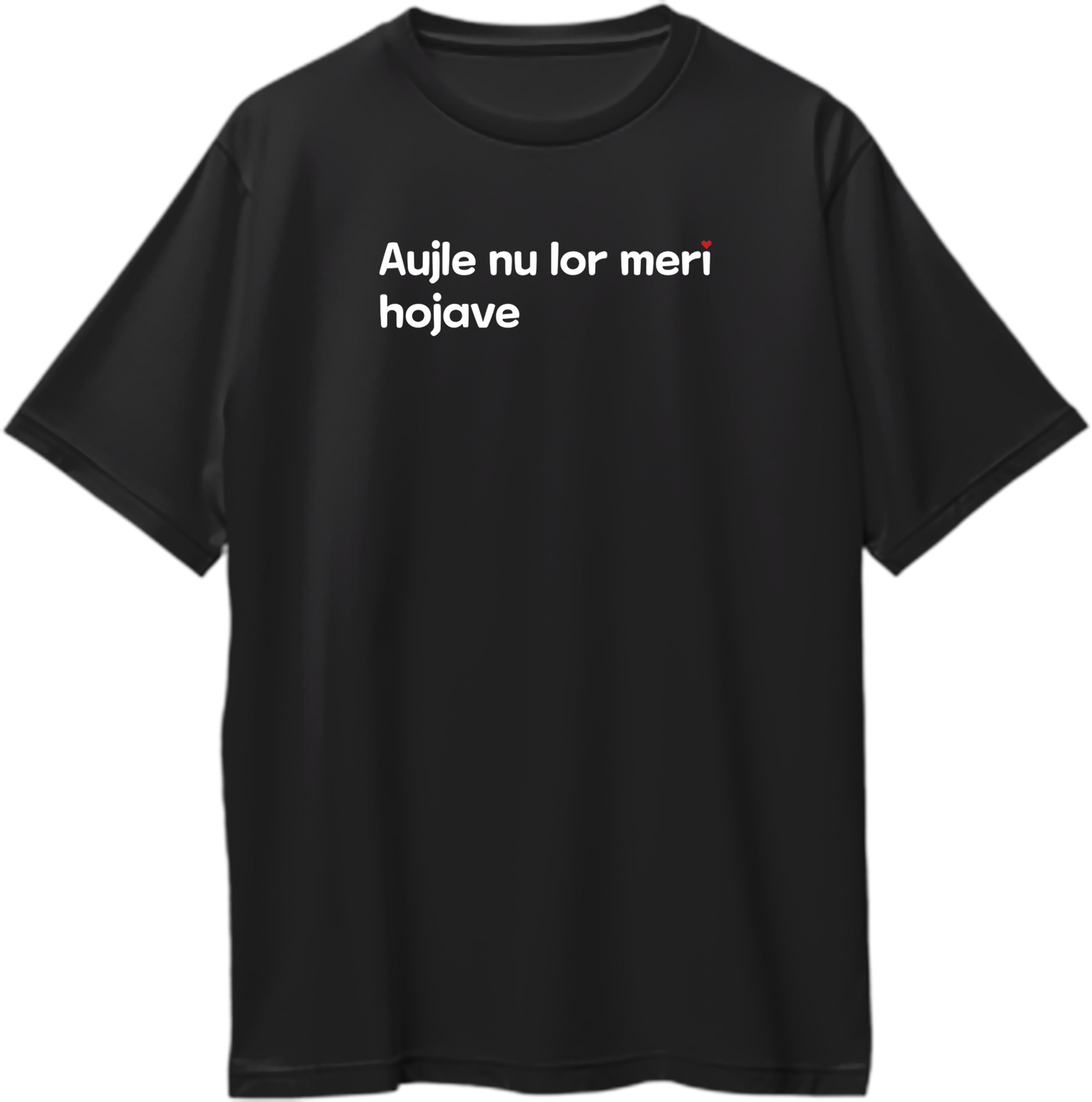 Aujle Nu Lor Meri Oversized T-Shirt with bold typography inspired by Karan Aujla’s music and energy.