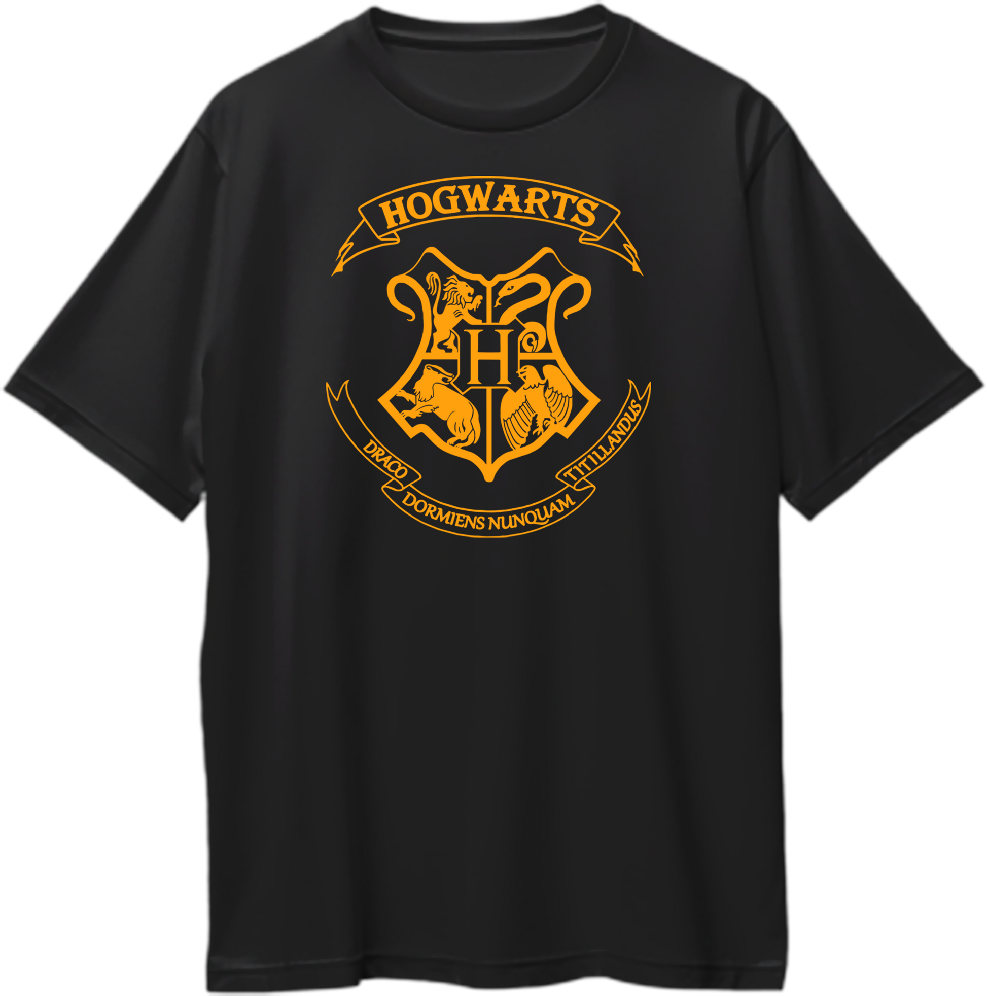 Hogwarts School Oversized Unisex T-Shirt, perfect for Harry Potter fans and Potterheads looking to embrace the magic.