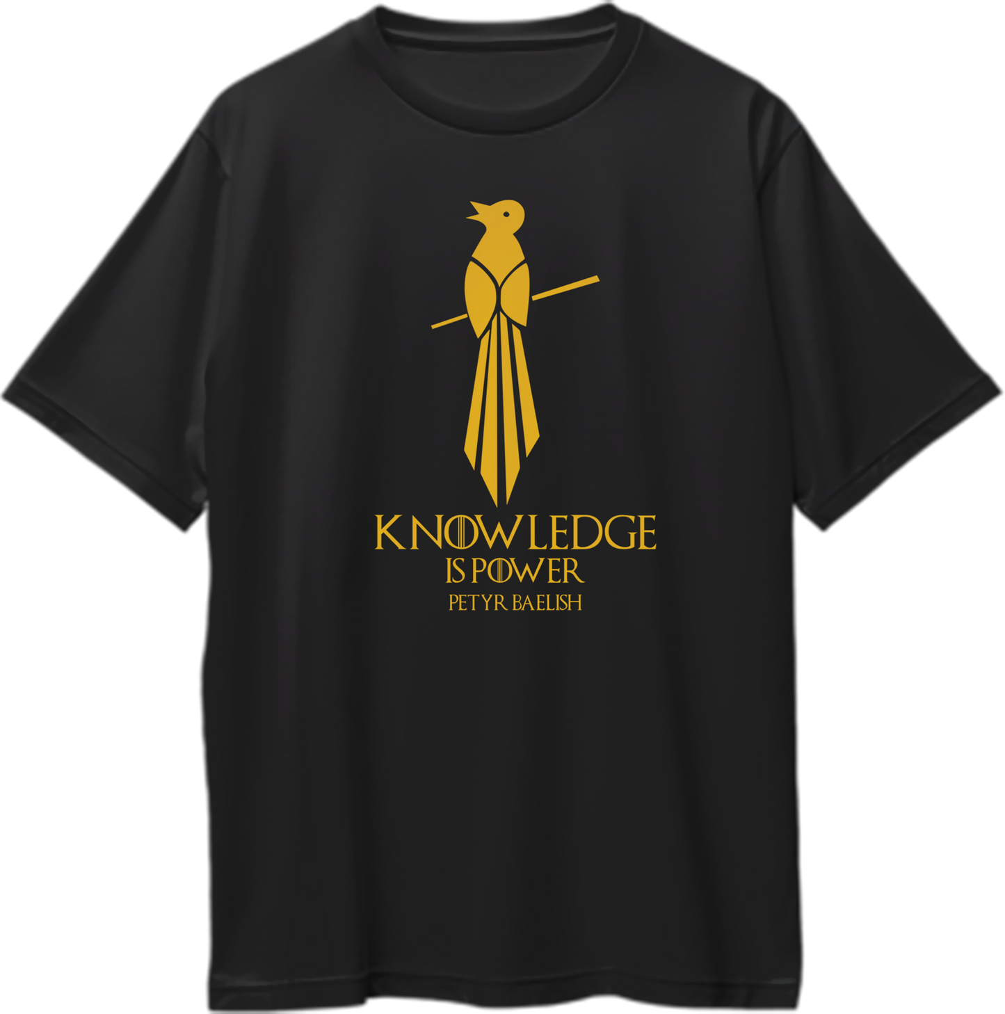 Oversized unisex t-shirt featuring the Mockingbird sigil from Game of Thrones.