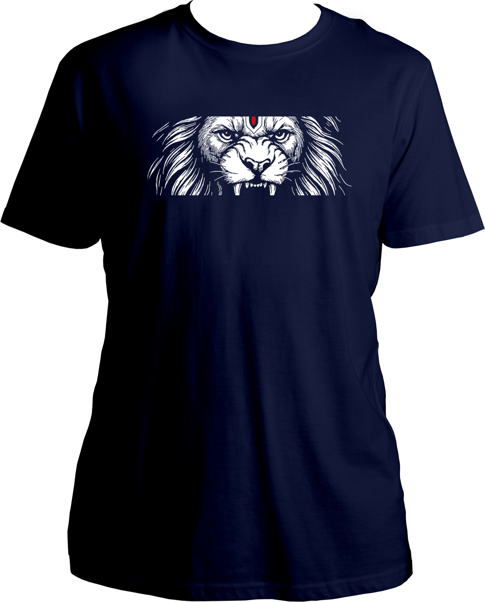 Hindu mythology inspired Narasimha graphic t-shirt for men and women