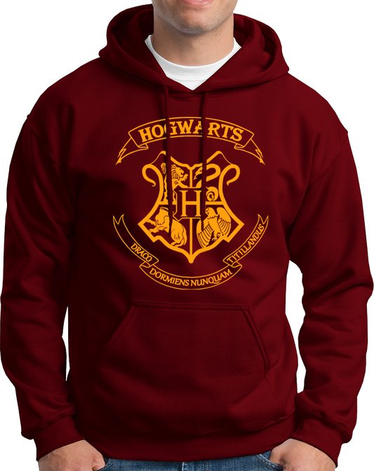 Hogwarts School- Unisex Hoodie