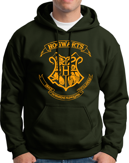 Hogwarts School- Unisex Hoodie