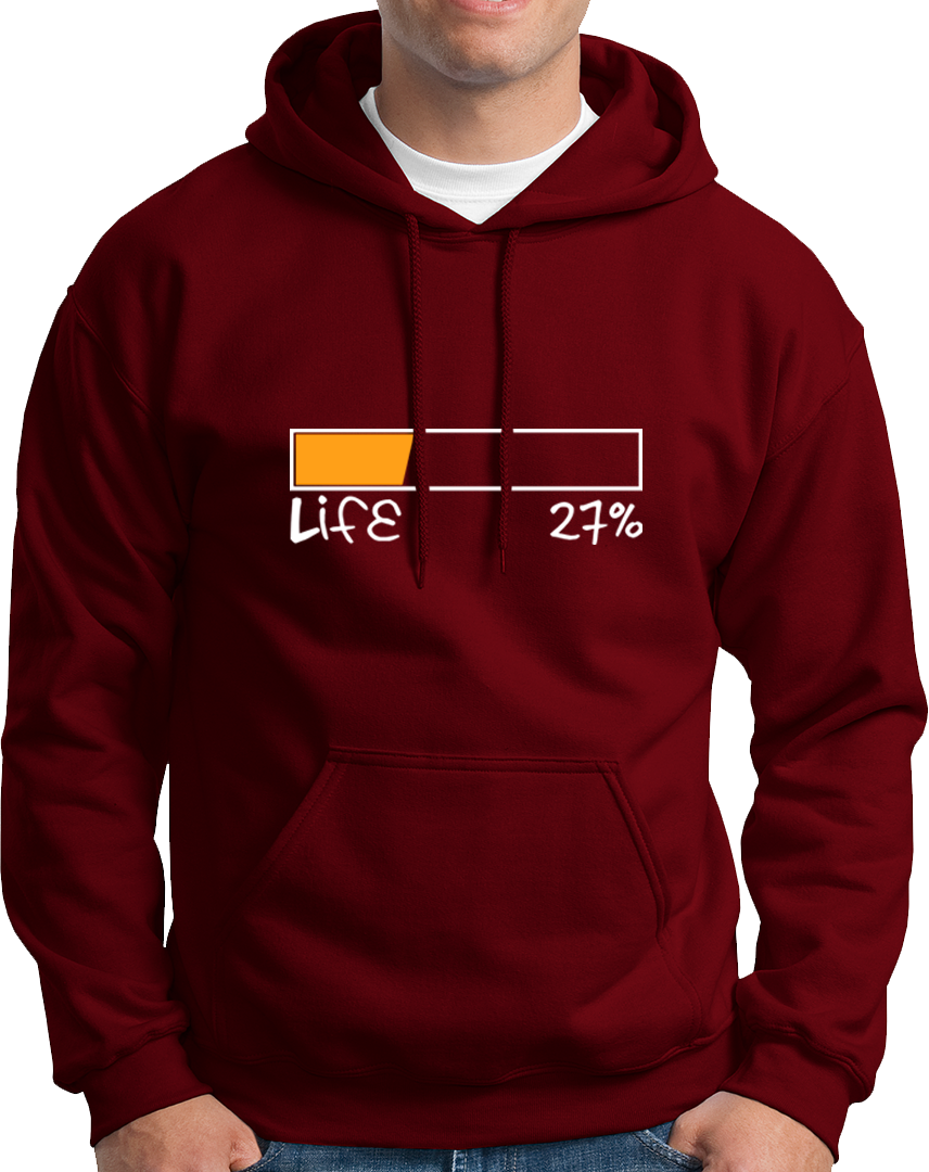 Life 27%- Unisex Hoodie