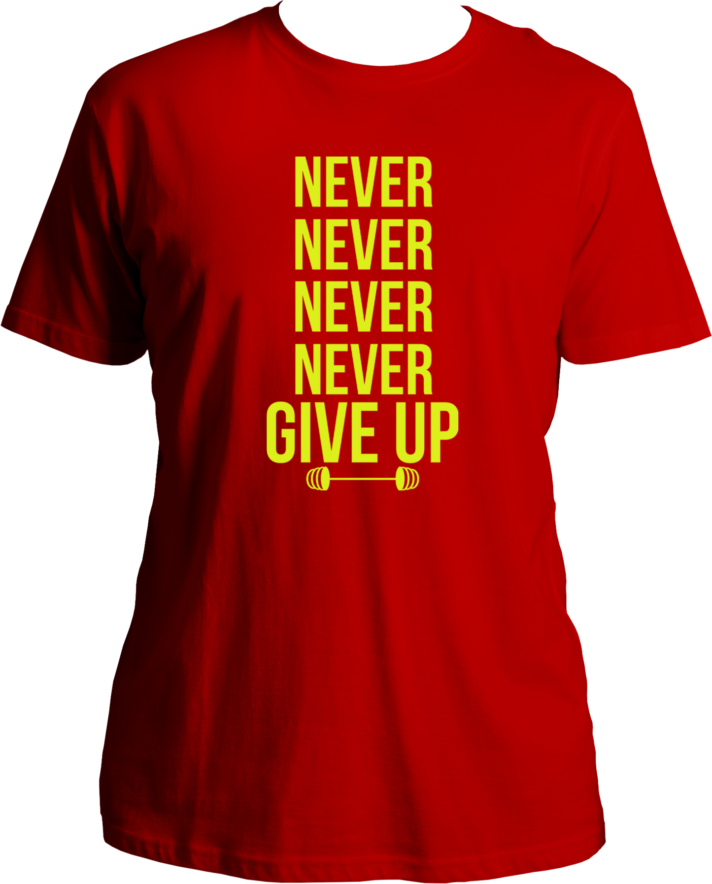 Never Never Never Give Up