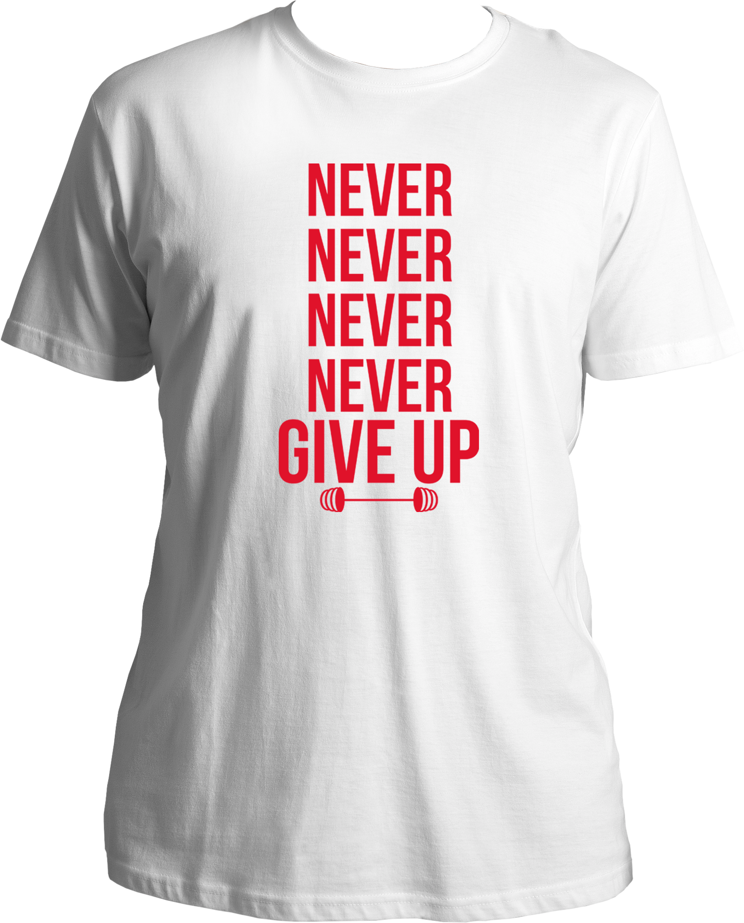Never Never Never Give Up