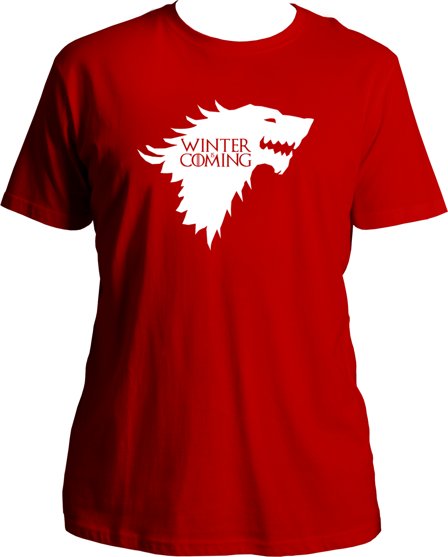 Winter Is Coming Unisex T-Shirts